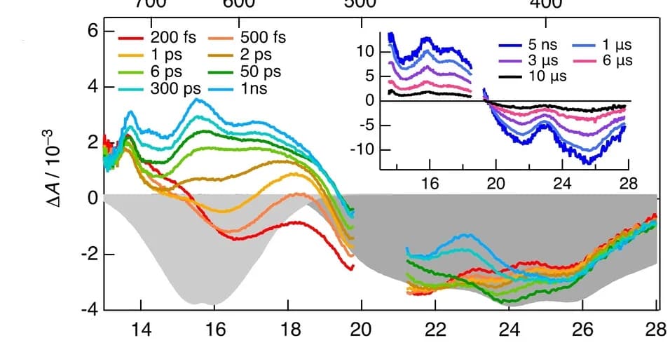 Open access visualization of Line Plot, Excited-state Dynamics, Transient Absorption, Stimulated Emission, Dichloromethane