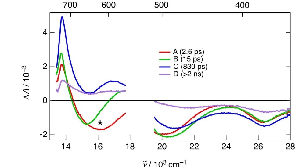 Open access visualization of Line Plot, Difference Absorption Spectra, Time Constants, Transient Absorption, Benzonitrile