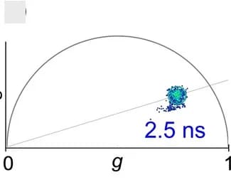 Open access visualization of Scatter Plot, Phasor Plots, FLIM Images, GUVs, 2Y-Flipper2