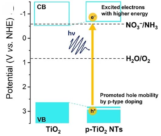 Open access visualization of Workflow, Photocatalysis, Nitrate Reduction, Ammonia, p-TiO2NTs
