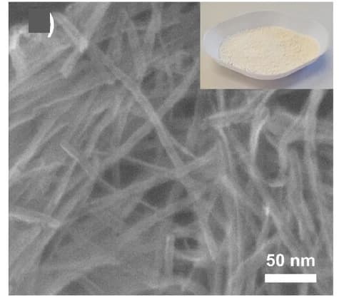 Open access visualization of Microscopy, Photo, SEM, Optical Image, p-TiO2NTs Powder