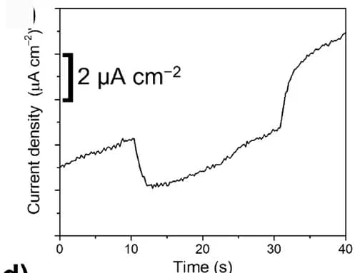 Open access visualization of Line Plot, Transient Photocurrent, p-TiO2NTs, Ag/AgCl, RHE