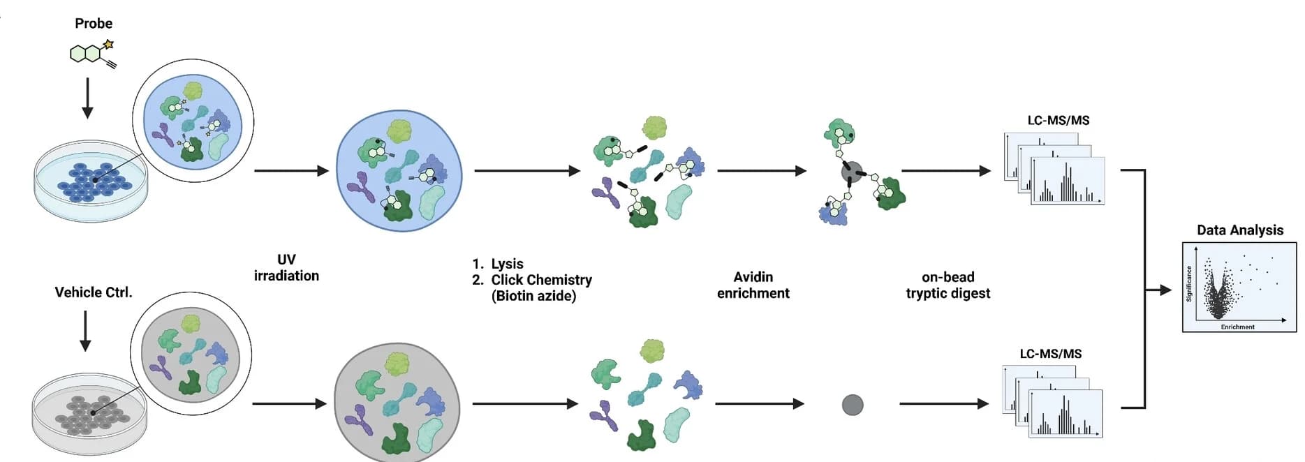 Open access visualization of Workflow, Volcano Plot, Affinity-Based Protein Profiling, MS, Cells