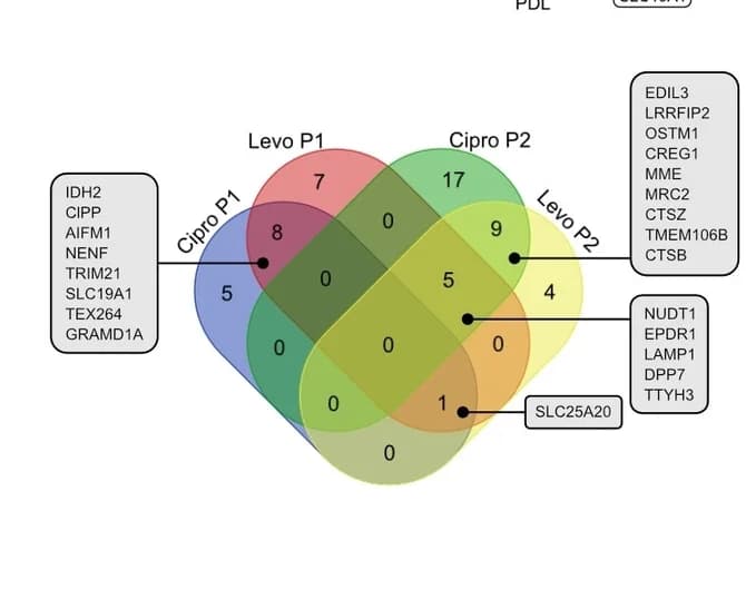 Open access visualization of Venn Diagram, Venn-Diagram, Protein Hits, PDL-hTERT Cells, FQ-Derived Probes