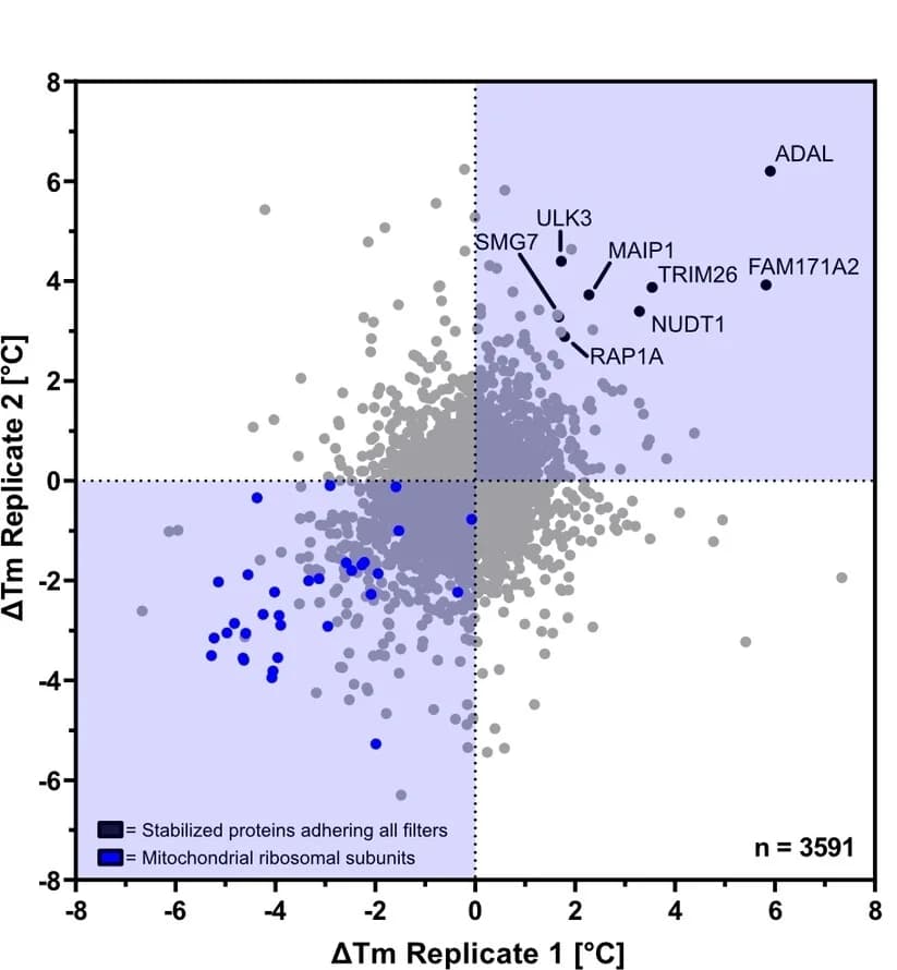 Open access visualization of Scatter Plot, Volcano Plot, Melting Point, Ciprofloxacin, Stabilized Proteins