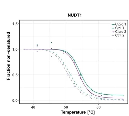 Open access visualization of Line Plot, Scatter Plot, Melting Curve, NUDT1, TPP Experiment