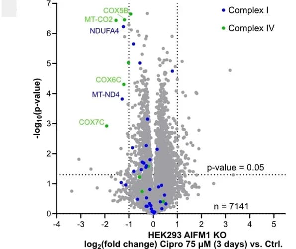 Open access visualization of Volcano Plot, Proteome Regulation, AIFM1, HEK293 Cells, Ciprofloxacin