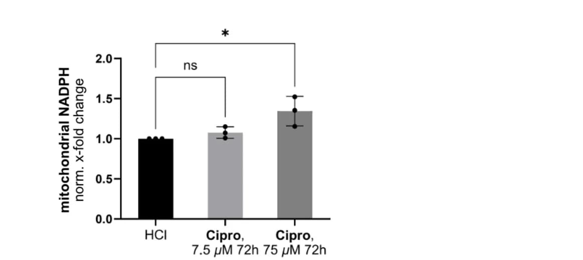 Open access visualization of Bar Plot, Error Bars, Mitochondrial NADPH Levels, PDL-hTERT Cells, Ciprofloxacin