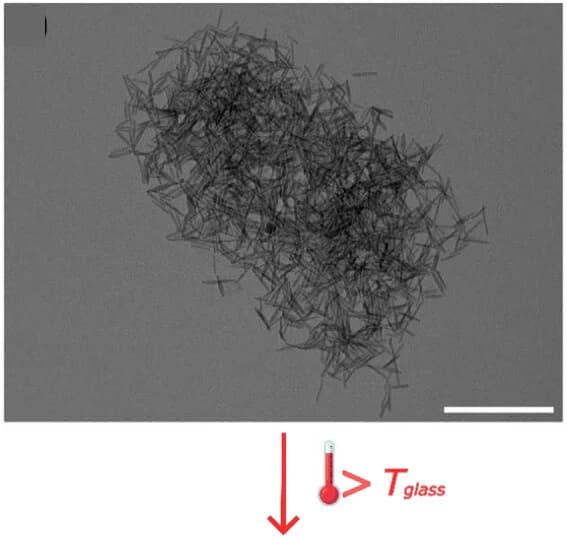 Open access visualization of Microscopy, TEM, PS Nanorods, MagSurf, Nanorods