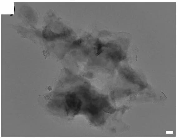 Open access visualization of Microscopy, TEM, PS Nanorods, Glass Point, Nanorods