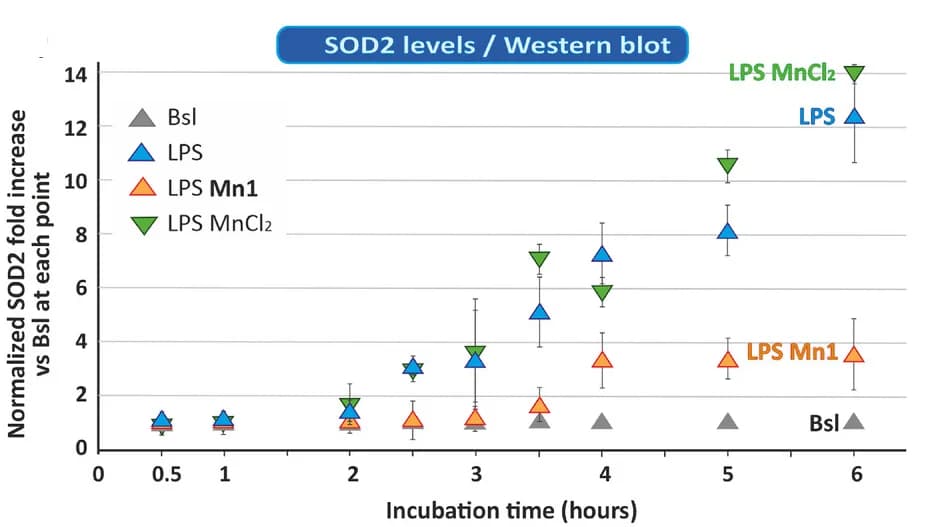Open access visualization of Line Plot, Error Bars, SOD2 Levels, Western Blot, Cell Lysates