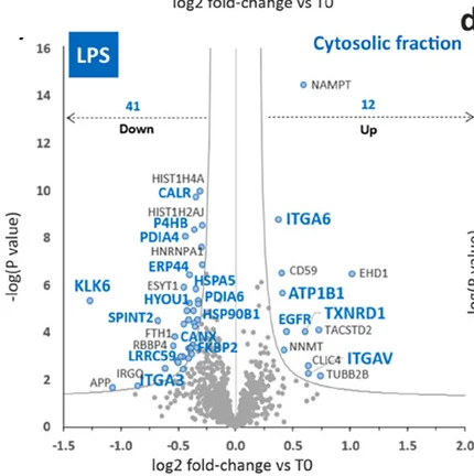 Open access visualization of Volcano Plot, Volcano Plots, Cytosolic Fractions, LPS Treated Cells, Untreated Cells