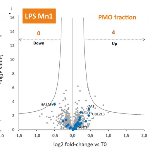 Open access visualization of Volcano Plot, Protein Levels, Untreated Cells, Volcano Plots, Plasma Membrane