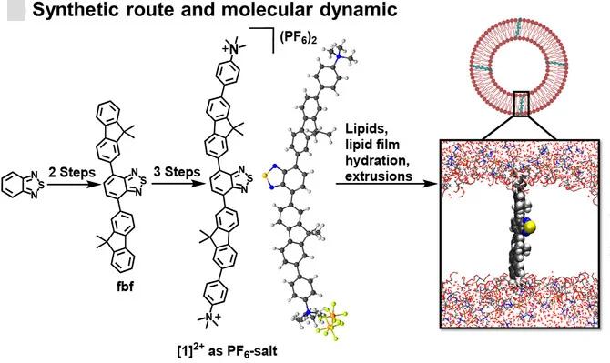 Open access visualization of Workflow, Chemical Structure, PF6-salt, Solid-State Structure, Molecular Dynamics Simulation