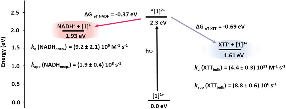 Open access visualization of Line Plot, Redox Reactions, NADH, XTT, Quenching Constants