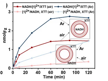 Open access visualization of Line Plot, Illustration, Fz Formation, LED Light, NADH