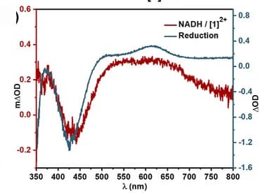 Open access visualization of Line Plot, Transient Absorption Spectra, DPPC Liposome, Spectroelectrochemistry