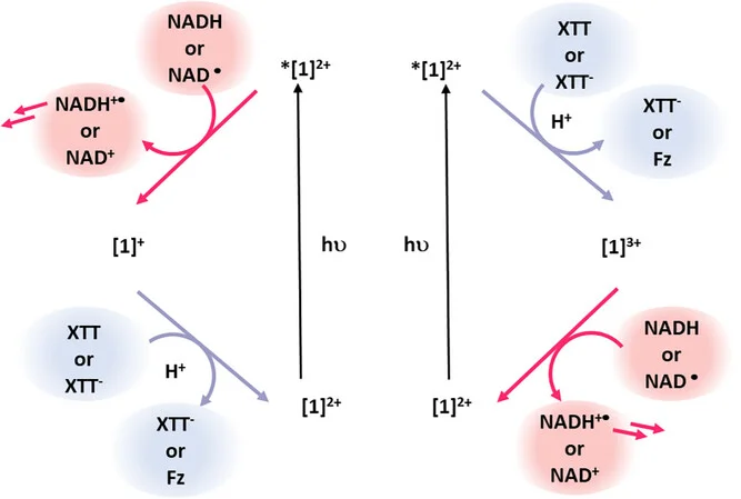 Open access visualization of Workflow, Flowchart, Illustration, Electron Transfer, Mechanism