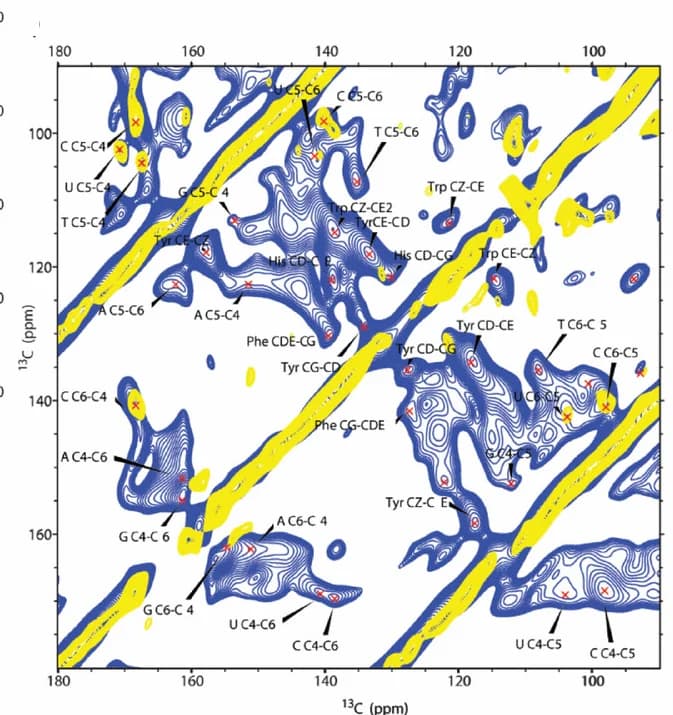 Open access visualization of Density Plot, Line Plot, ssNMR Spectra, Mitochondria, mtRNA