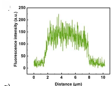Open access visualization of Line Plot, Density Plot, Fluorescence Intensity, Analysis