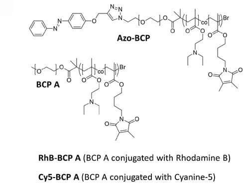 Open access visualization of Chemical Structure, Azo-Psomes, Dye-Labeled, Fabrication, Synthesis