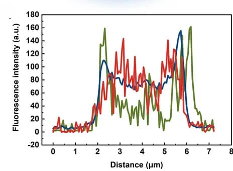 Open access visualization of Line Plot, Fluorescence Intensity, HMC