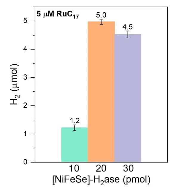 Open access visualization of Bar Plot, Error Bars, Photocatalytic H2 Evolution, RuCn, NiFeSe H2ase