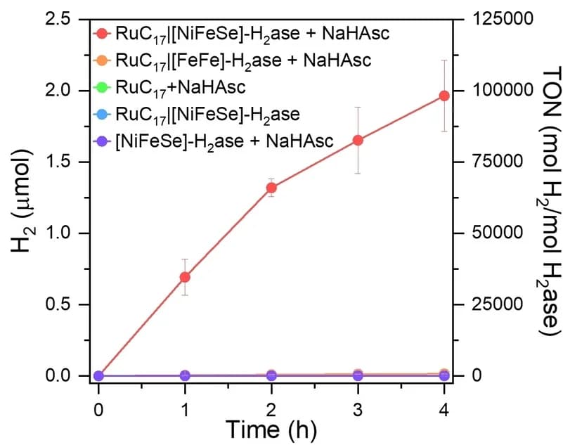 Open access visualization of Line Plot, Error Bars, Time-dependent Photocatalytic H2 Evolution, RuC17, Control Experiments