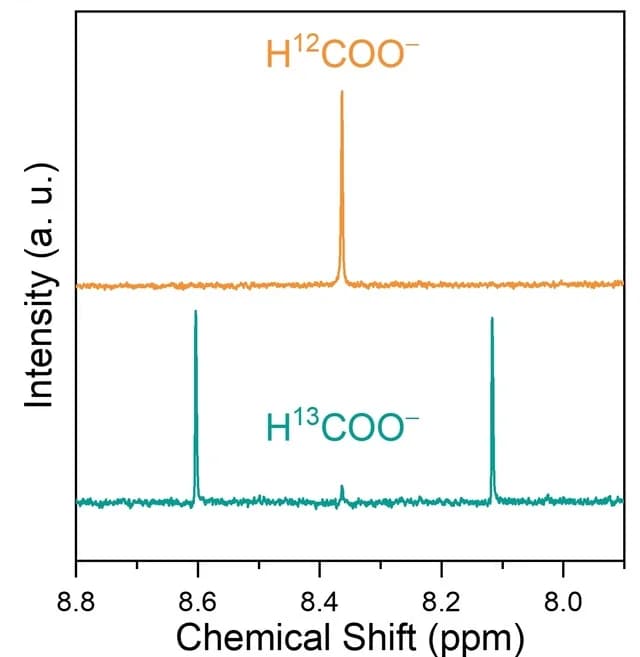 Open access visualization of Line Plot, NMR Spectra, Photocatalysis, CO2, Isotopes