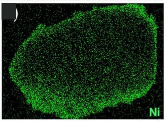 Open access visualization of Microscopy, Ni, Elemental Mapping