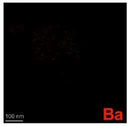 Open access visualization of Microscopy, Elemental Mapping, Ba, Ba8Ni6Ge40, OER Cycle