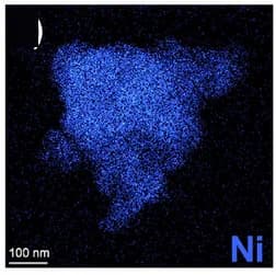 Open access visualization of Microscopy, Elemental Mapping, Ni, Ba8Ni6Ge40, OER Cycle