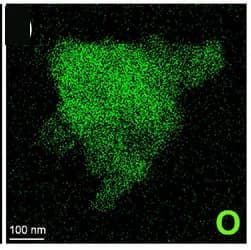Open access visualization of Microscopy, Elemental Mapping, O, Ba8Ni6Ge40, OER Cycle