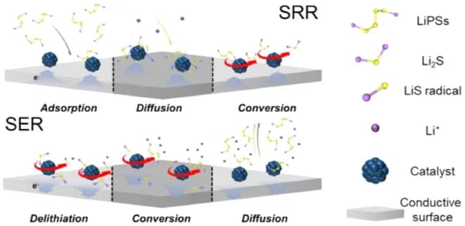 Open access visualization of Workflow, Illustration, Catalysis, SRR, SER