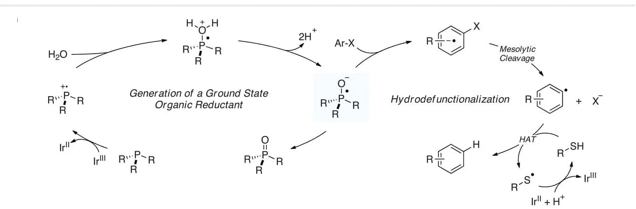 Open access visualization of Workflow, Flowchart, Mechanism