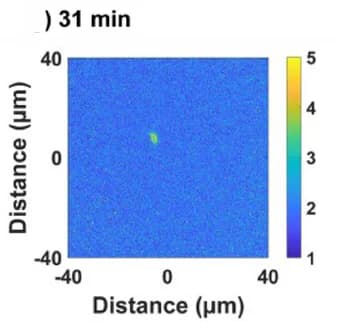 Open access visualization of Heatmap, Fluorescence Image, Trapping, Condensation, Laser Irradiation