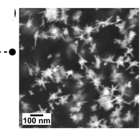 Open access visualization of Microscopy, SEM, Gold Nanostars, Hydrogels