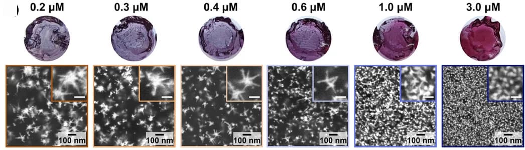 Open access visualization of Microscopy, Photo, Hydrogels, SEM Images, Nanoparticle Dimensions