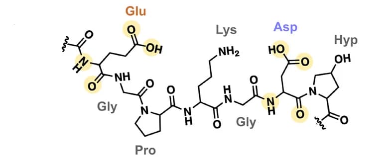Open access visualization of Chemical Structure, Schematic, NMR Peak Shifts, Residues, Gold Ions