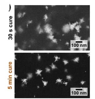 Open access visualization of Microscopy, SEM Images, Morphology, Products, Curing Times