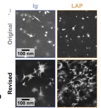 Open access visualization of Microscopy, SEM Images, Products, Optimization