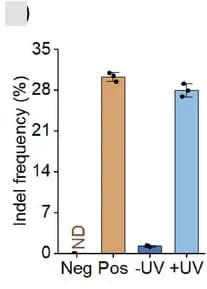 Open access visualization of Bar Plot, LAC12aGE, HGF Gene, HepG2 Cells, Genome Editing