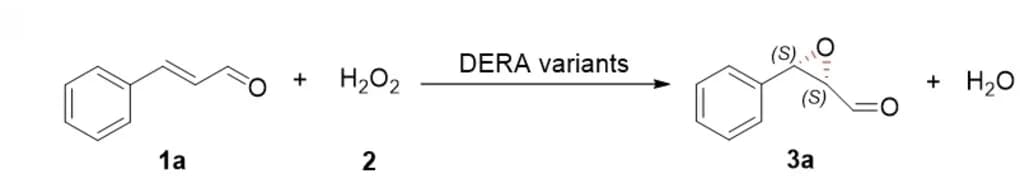 Open access visualization of Chemical Structure, Reaction Scheme, Epoxidation, DERA, Aldehyde