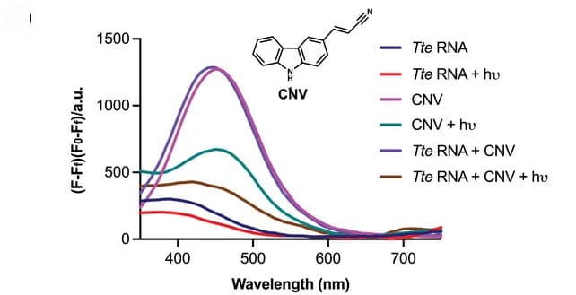 Open access visualization of Line Plot, CNV Ligand, Fluorescence Assay, Photocrosslinking