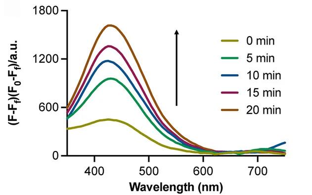 Open access visualization of Line Plot, Time Course, Fluorescence, CNV Ligand, UV Irradiation