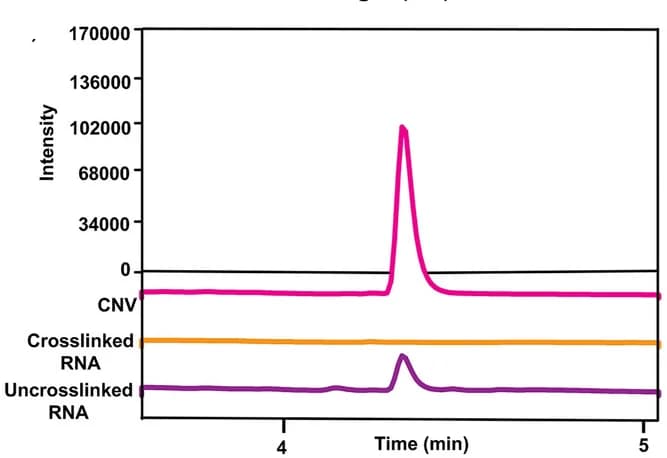 Open access visualization of Line Plot, LC/MS Chromatograms, CNV Ligand, Crosslinked RNA, UV Light