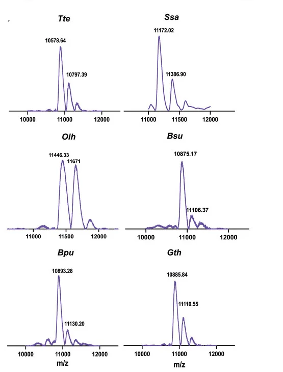 Open access visualization of Line Plot, Density Plot, MALDI-TOF Mass Spectrum, Crosslinked Aptamers, Riboswitches