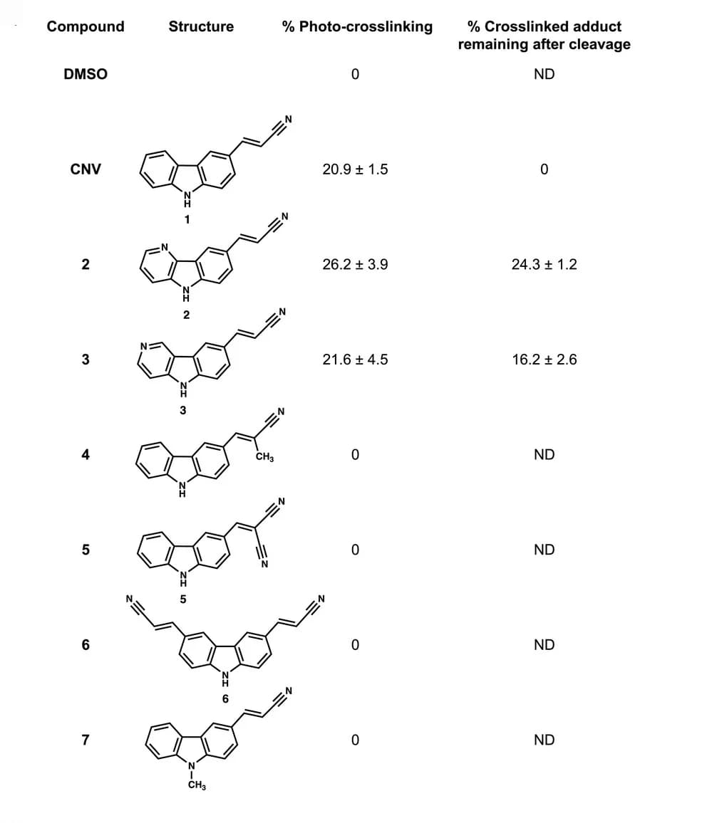 Open access visualization of Table Image, Chemical Structure, Photocrosslinking, Un-photocrosslinking, Ssa-PreQ1RNA