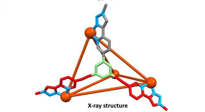 Open access visualization of Chemical Structure, 1H NMR Spectra, T112, Arm 1, Arm 2