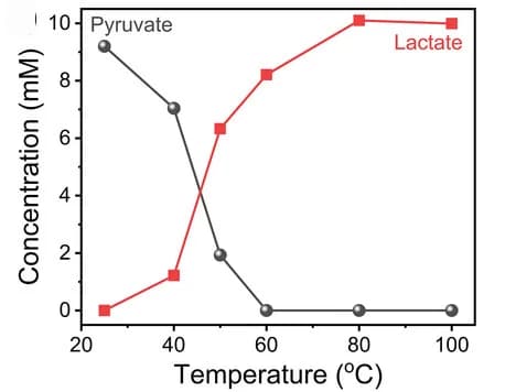 Open access visualization of Line Plot, Catalytic Activity, Temperature, Pyruvate, Nickel/Y Catalyst